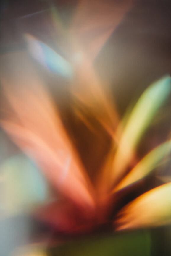 Vibrant energetic backdrop symbolizing rise, power, and bold feminine transformation.
