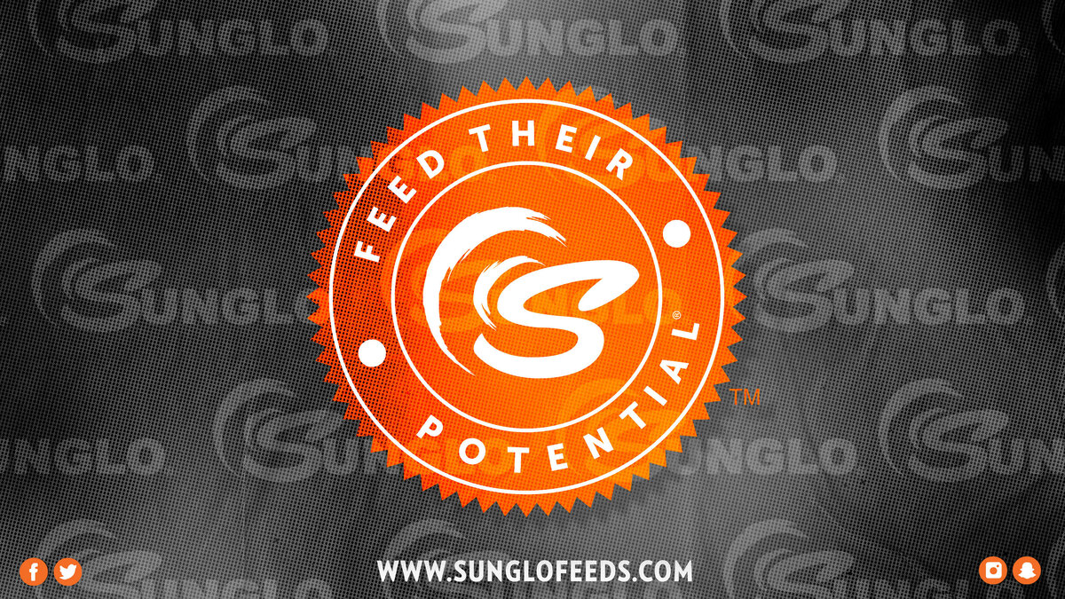 Sunglo7