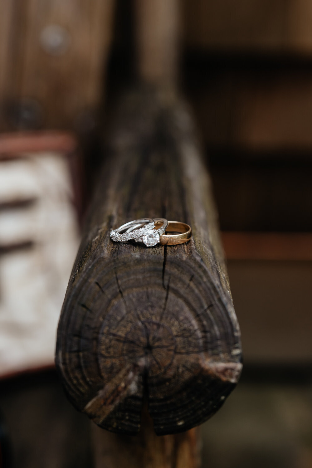 Adirondack-Lake-Tupper-Camp-Wedding-9