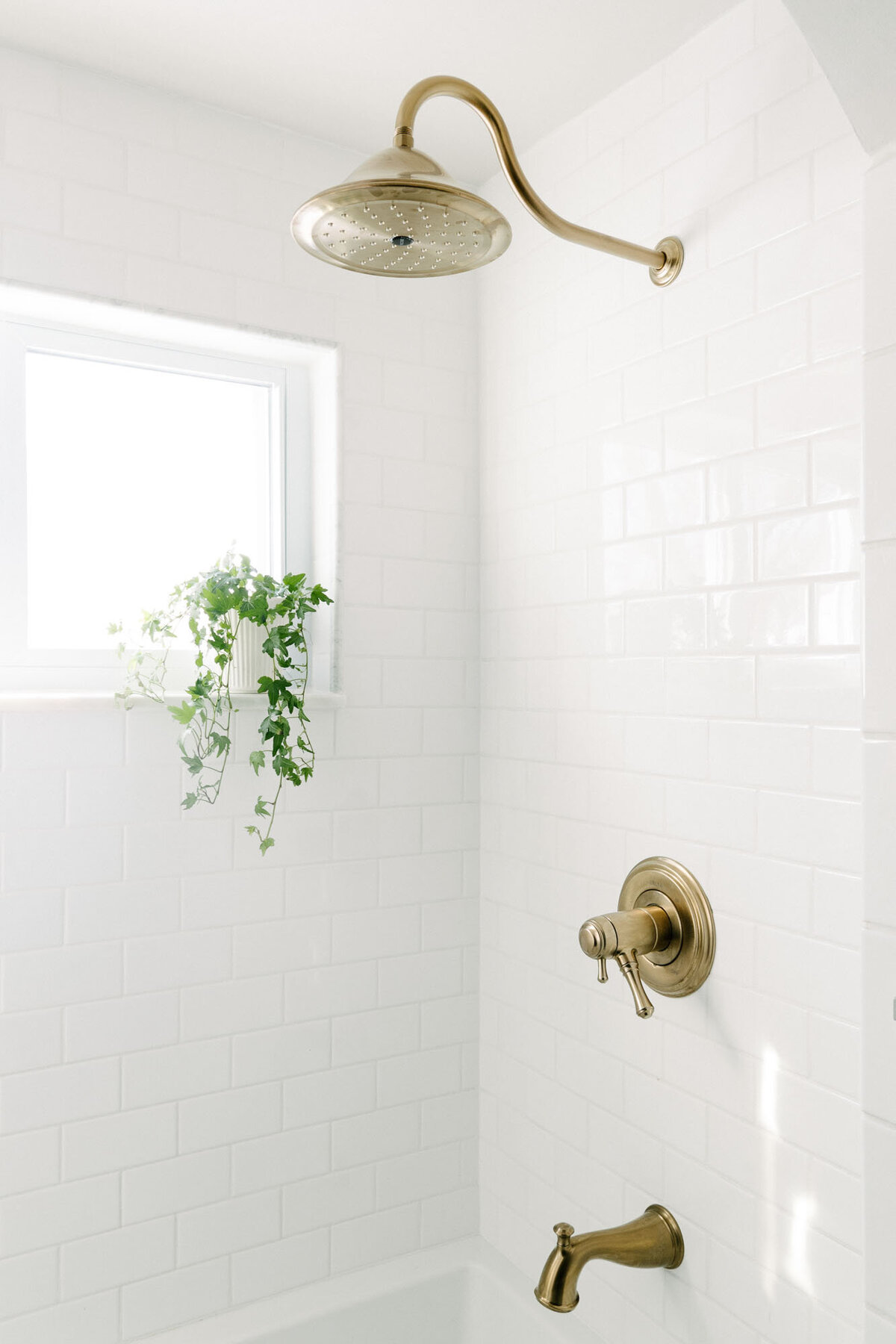 SIL & PARK - East Shoreland_Cleveland Interior Designer - Home Design Renovation Kitchen Bathroom Custom Interior - 14
