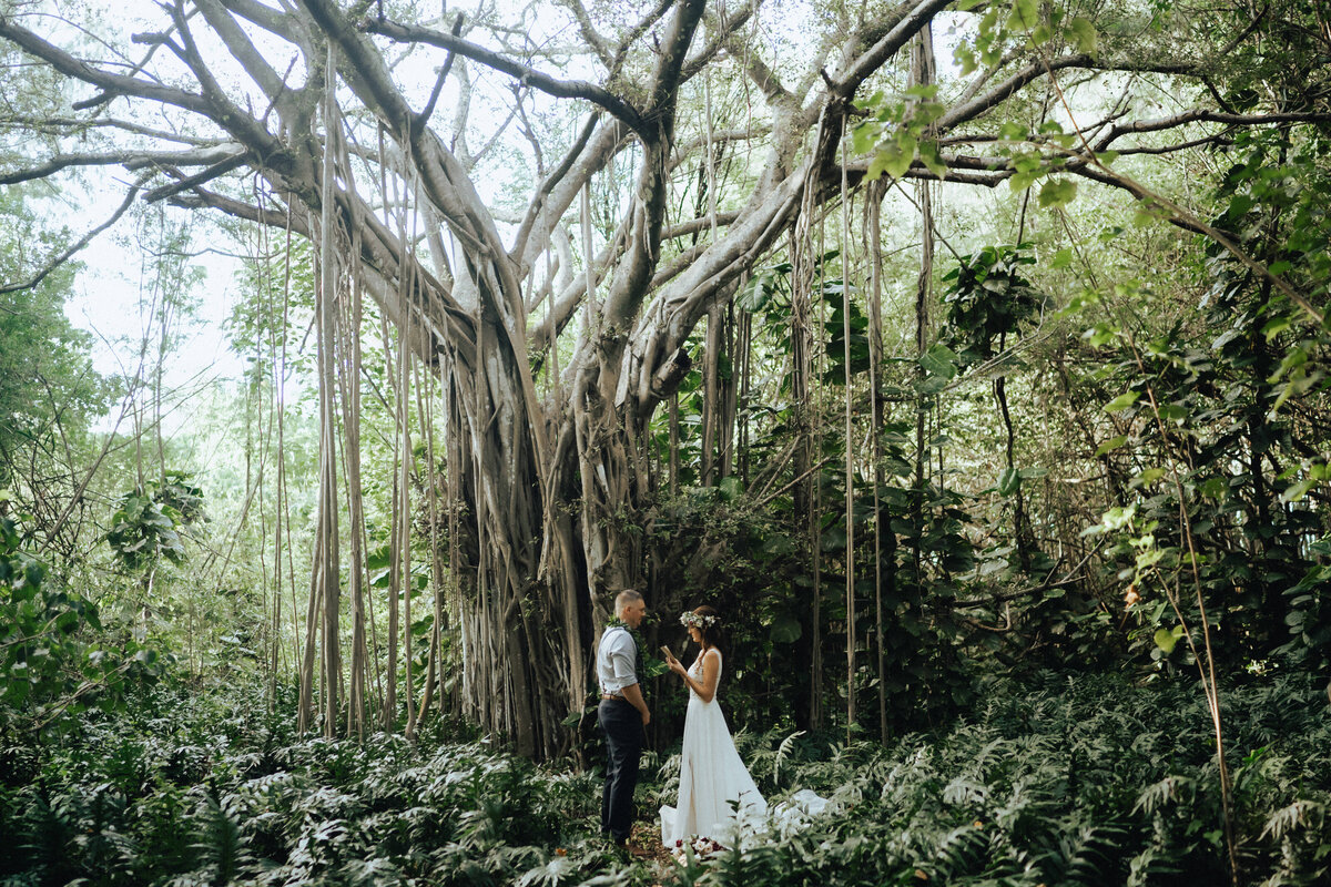 Hawaii-Wedding-Photographer-00538