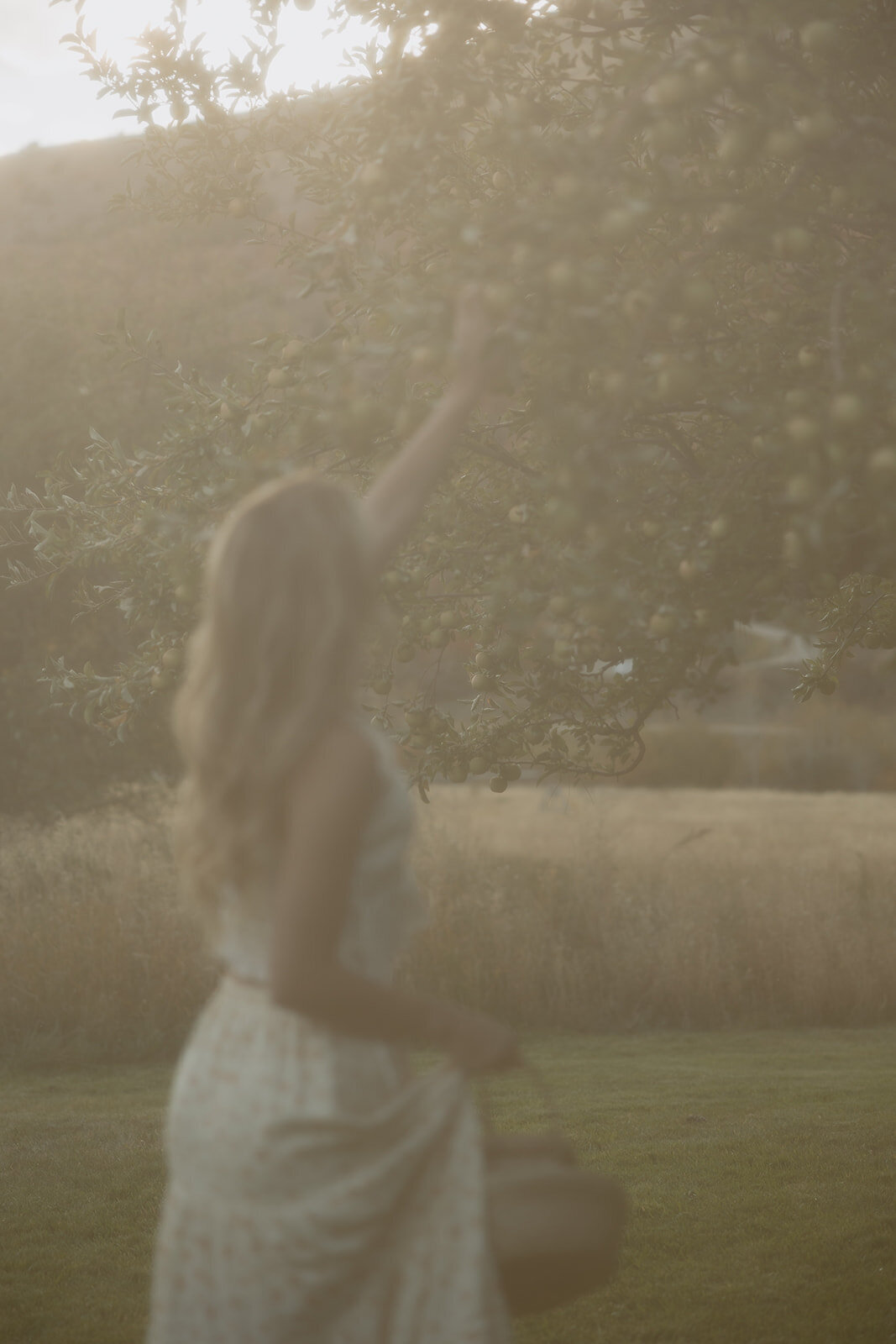 tanya-davids-photo-film-documentary-idaho-utah-oregon-washington-colorado-wedding-elopement-portrait-photographer-intention-session-apple-orchard-70