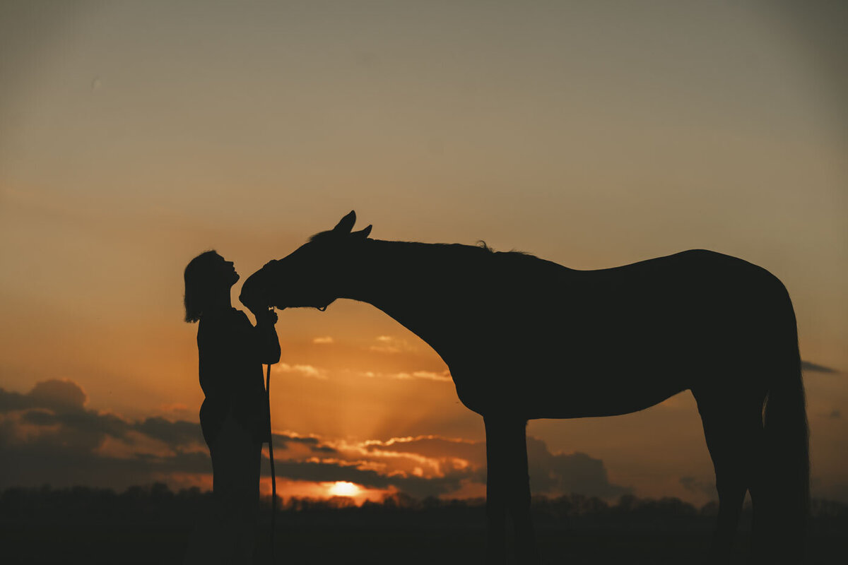 Storytelling fotoshoot samen met je paard in Noord Nederland