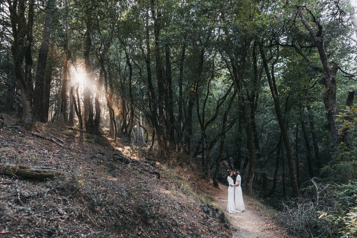 mount-tamalpais-elopement
