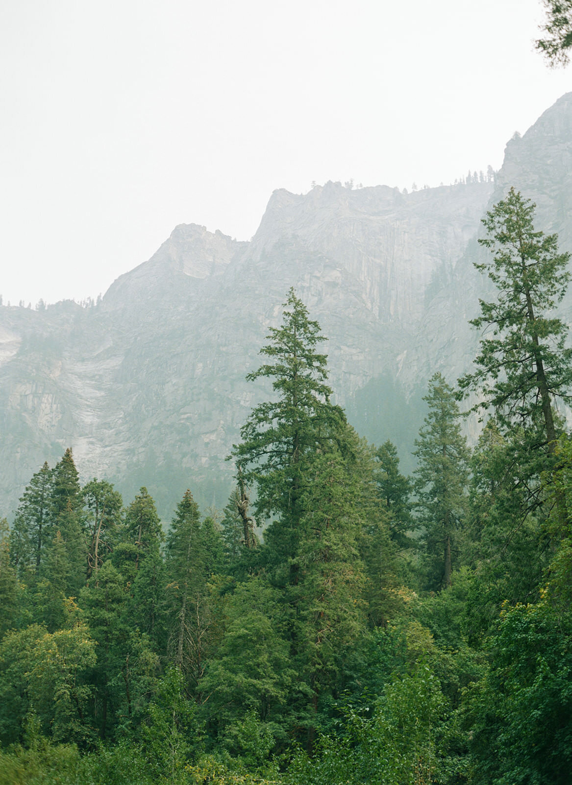 yosemite-engagement-california-wedding-photographer@TaraHodgesPhotography031
