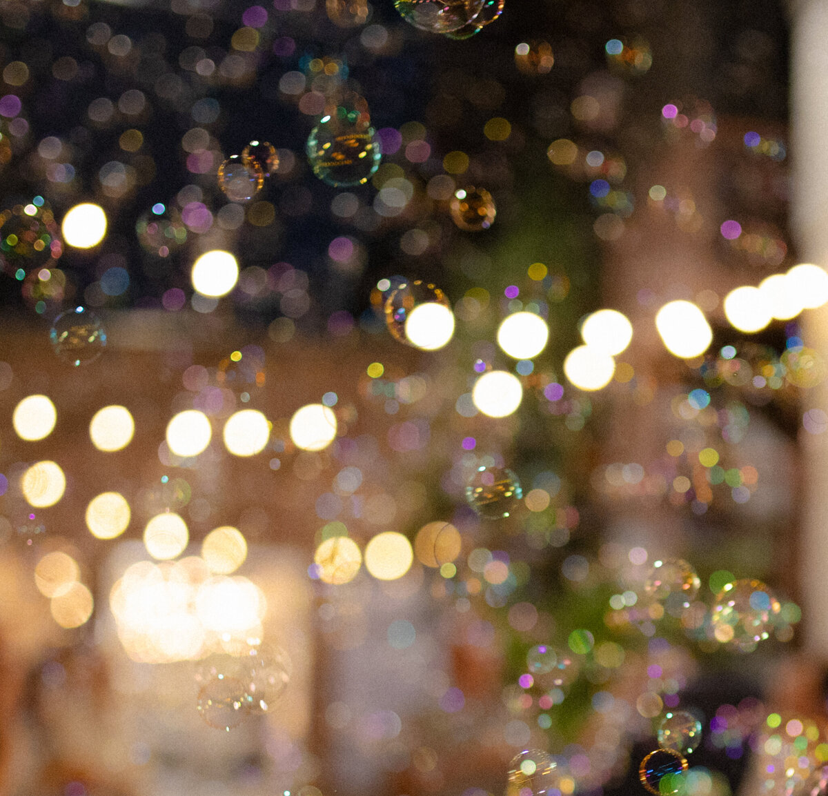 gracewaldenphoto-244