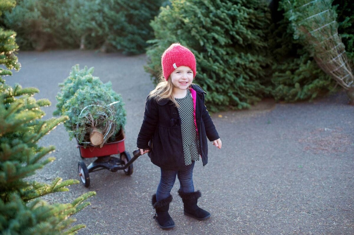 Little girl in red beanie pulls her christmas tree behind her in a red wagon at the tree farm.