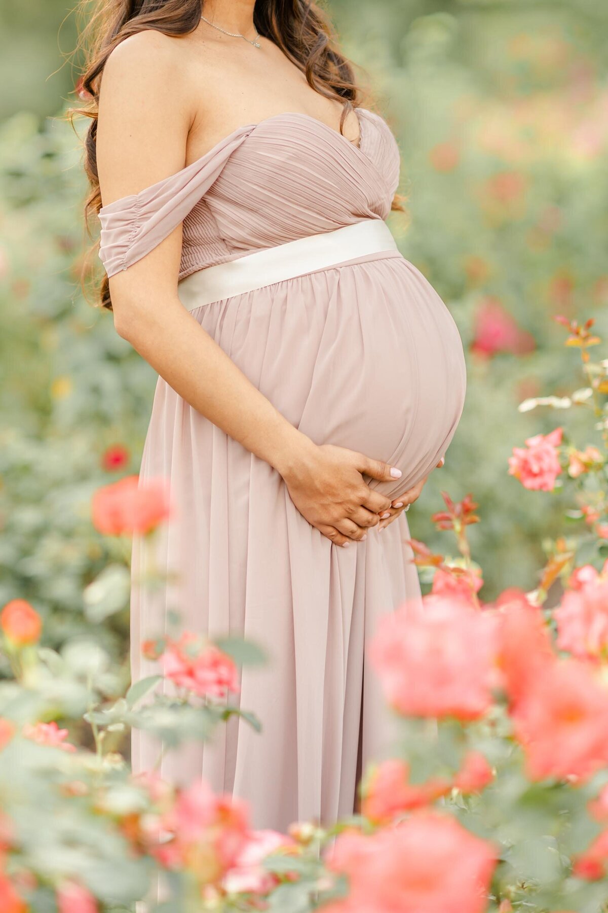 Maternity Photo in a Rose Garden in Arlington Va - Heidi Fam Photography