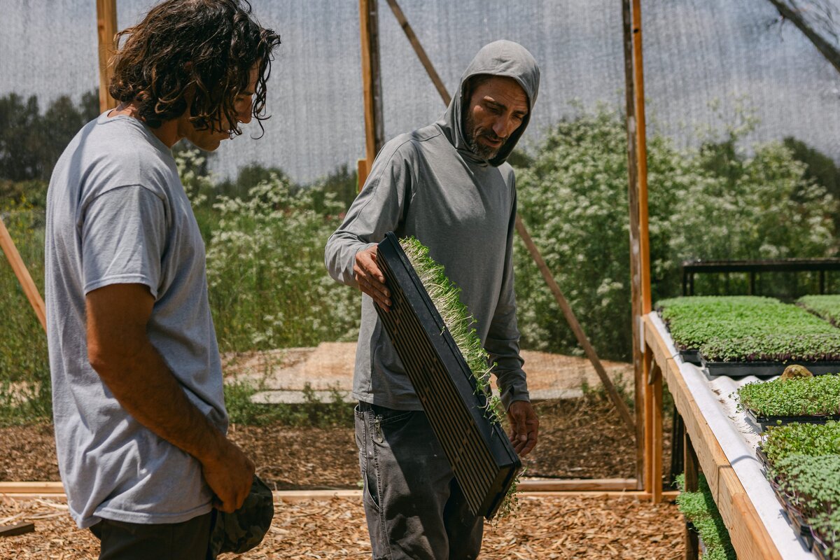 Channel-Islands-Micro-Greens-Local-Farmers-Markets-0015