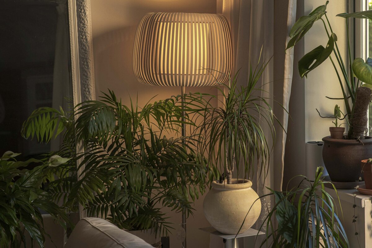 Boho room