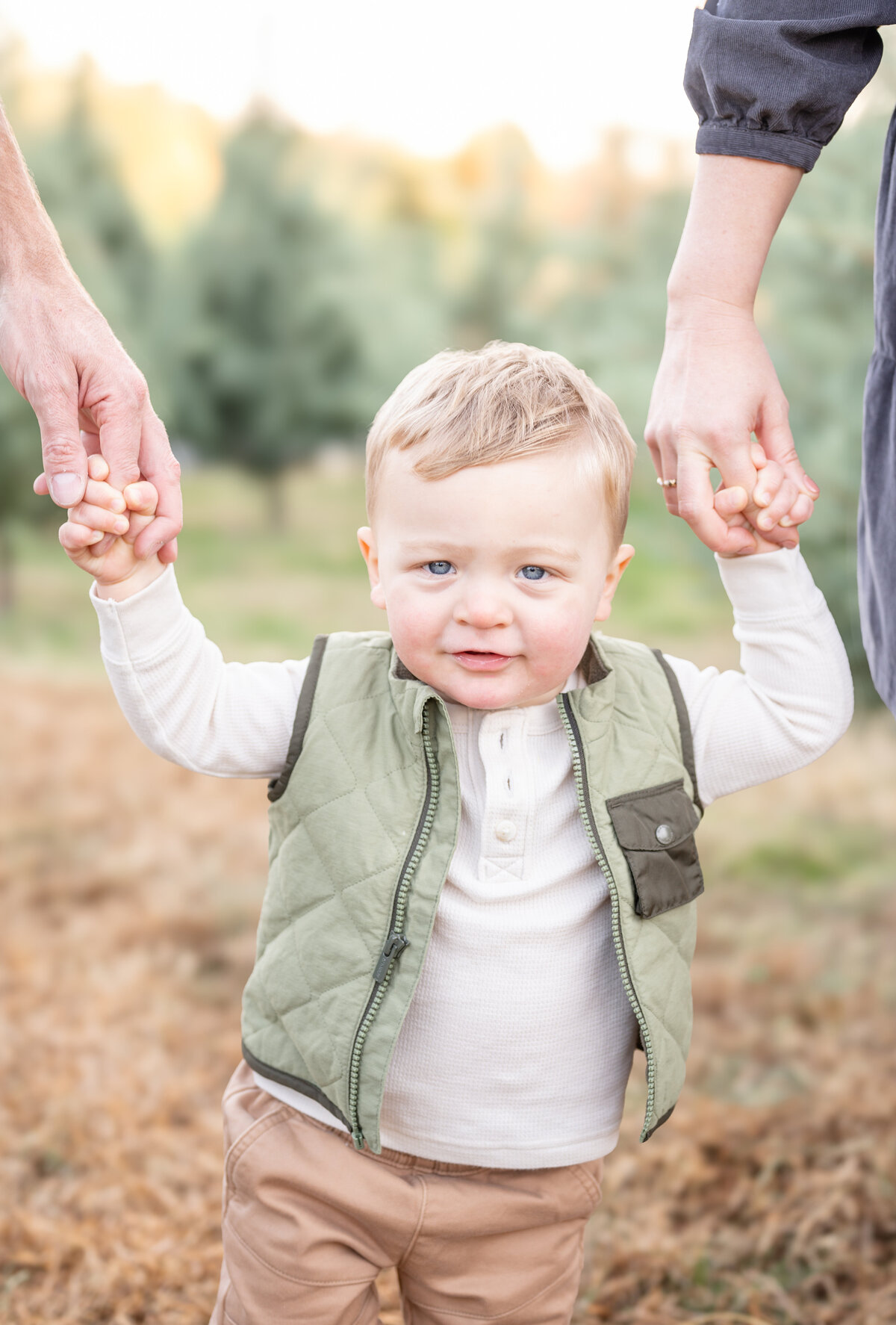 Cary nc family photographer