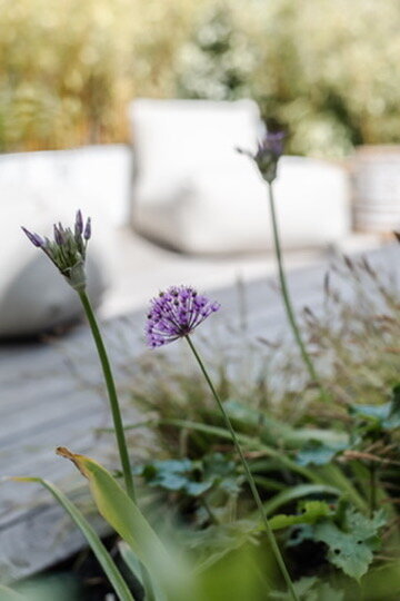 40E9749E-B588-4981-A273-B73646E95DBF_4_5005_c