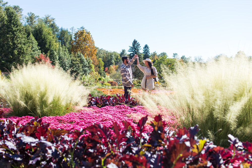 21Wedding Proposal at Biltmore