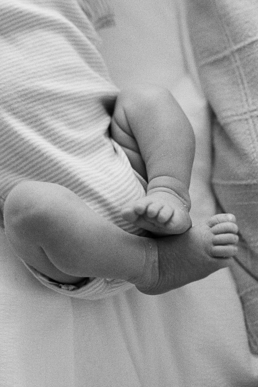 35mm120FILM_Callahan_Nouvel_2025_60