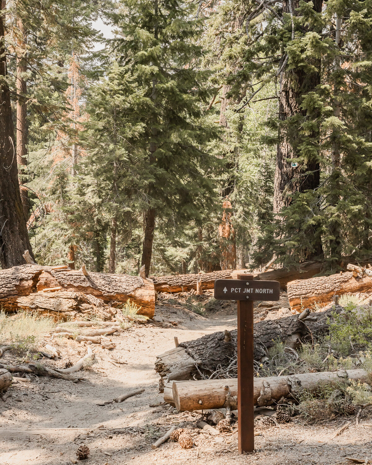 RewildMother_KaleighElizaPhoto-8295
