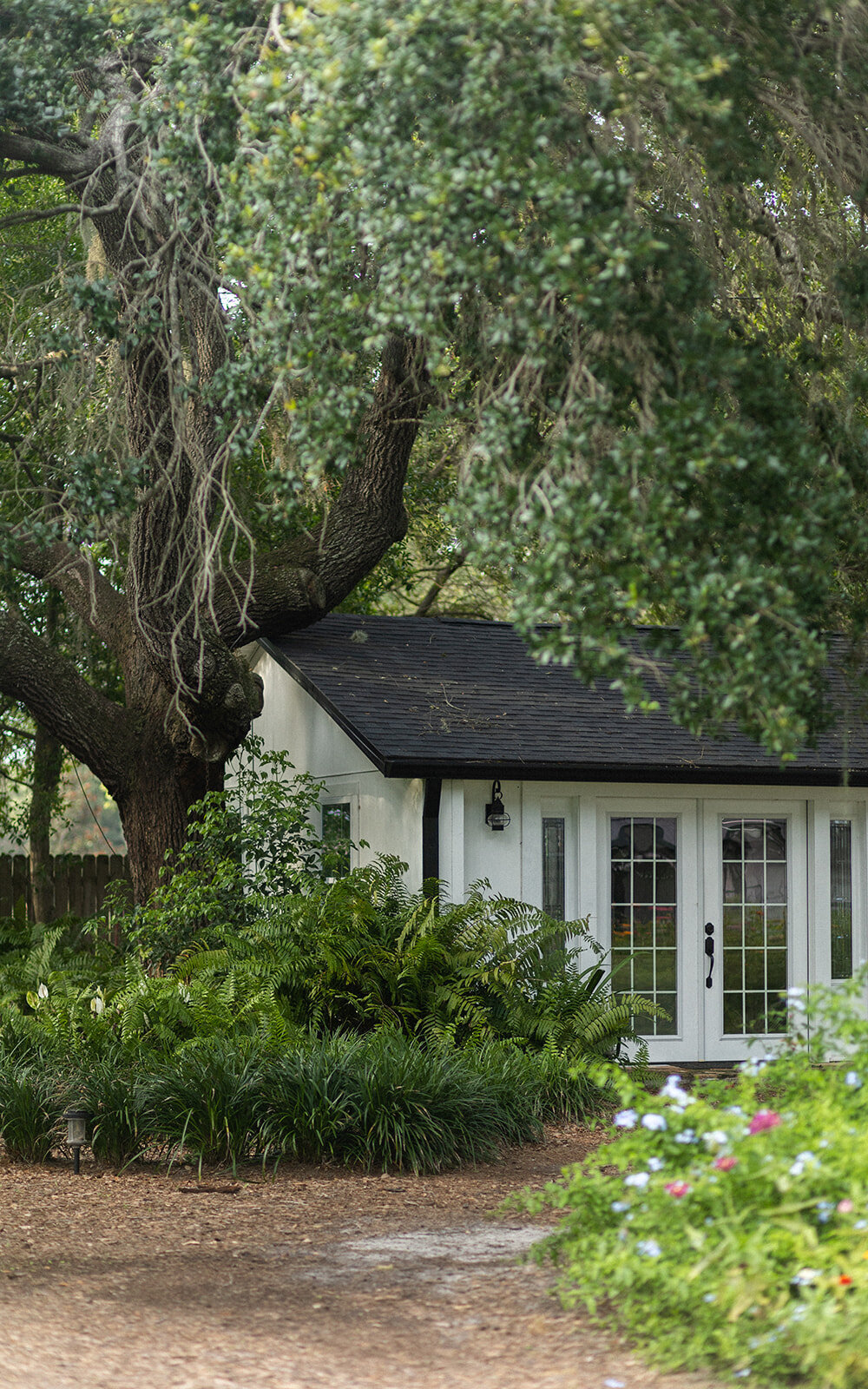 tampa-lakeland-orlando-wedding-photographer-engagement-madison-cole-photography-1
