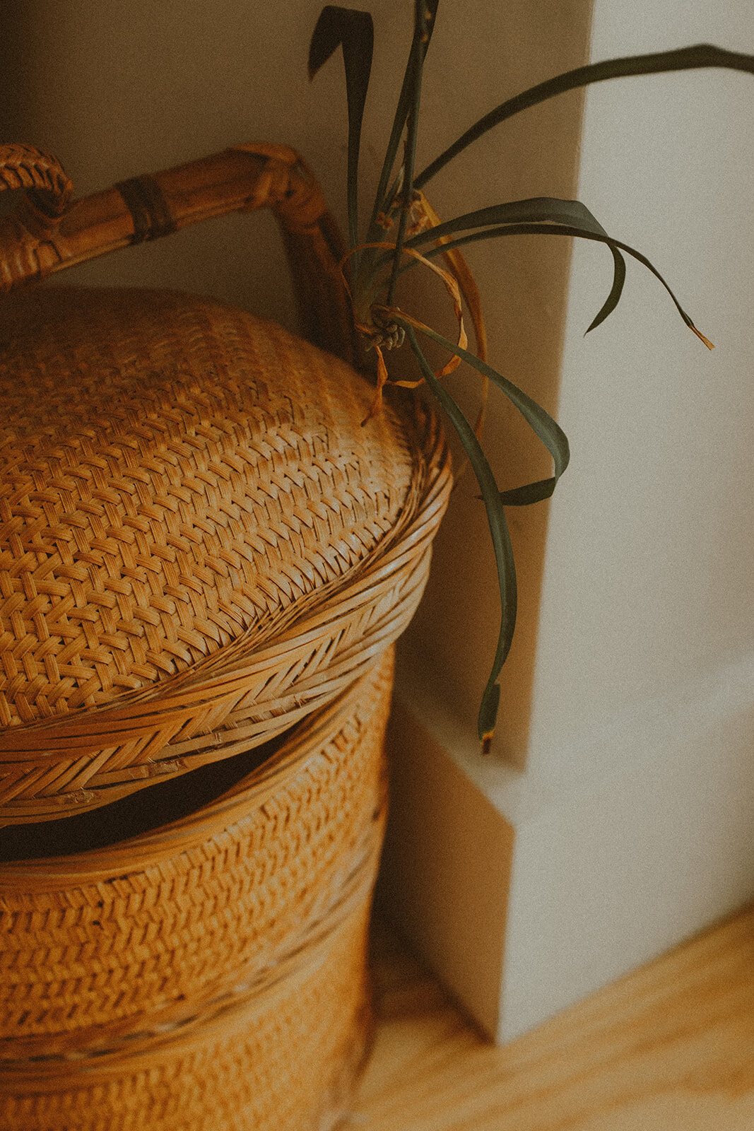 vintage store interior