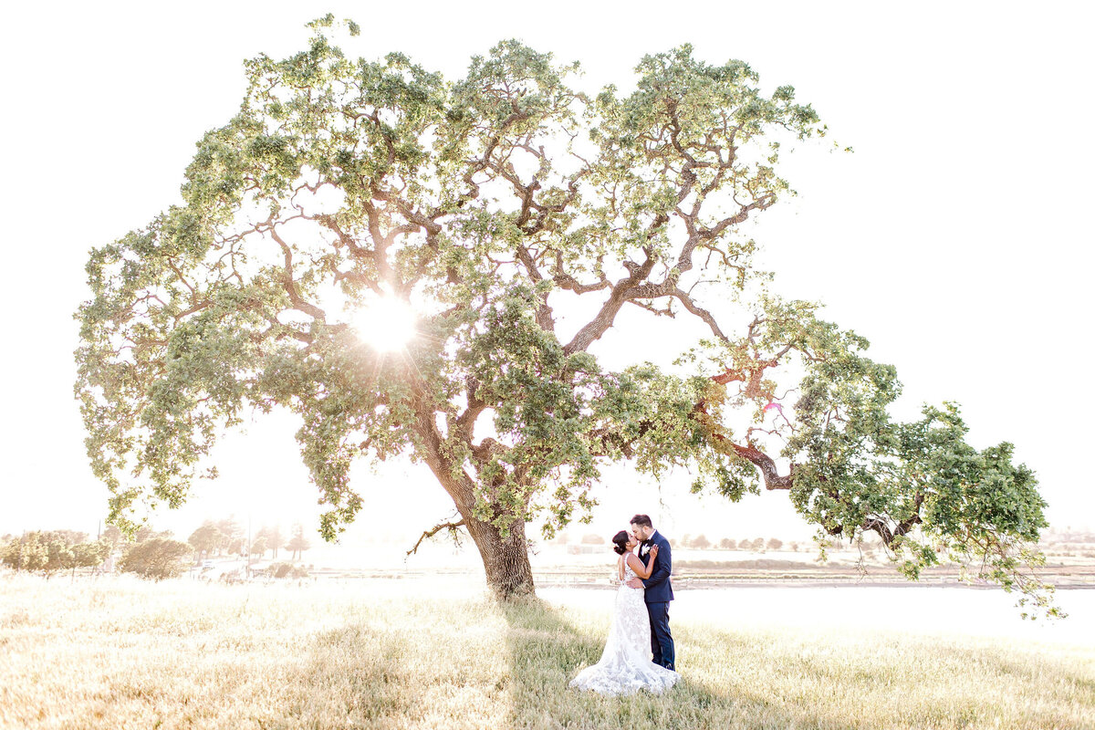 P&C-Wedding-541