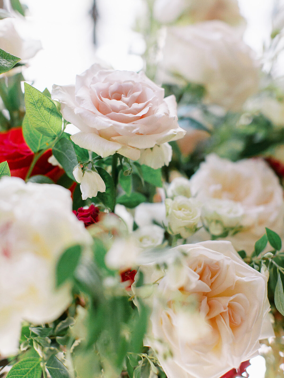 Ceremony - 1