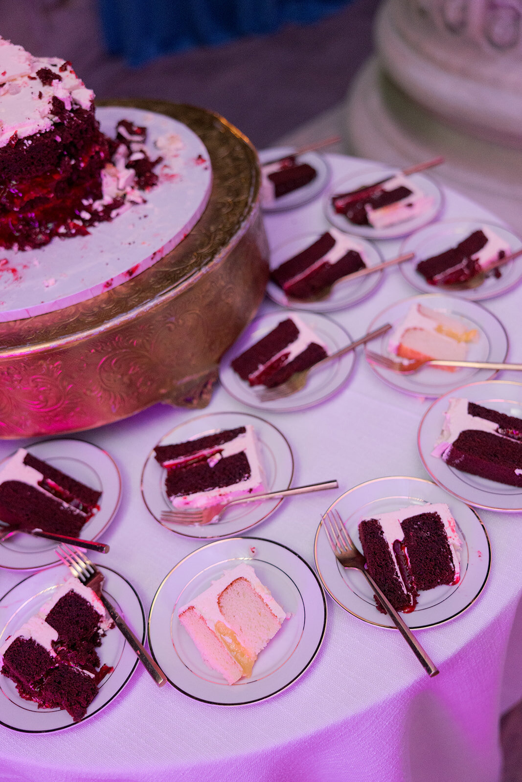 hannahhaddonreception-357