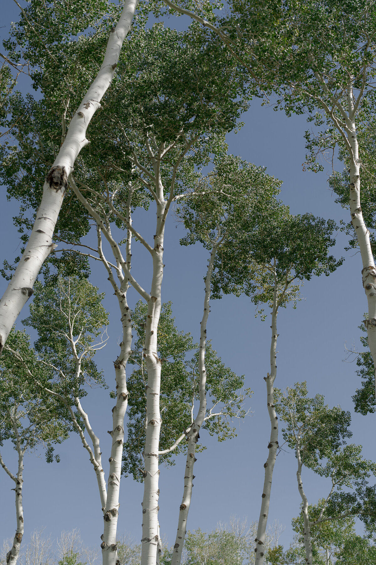 coloradoweddingvenue-22