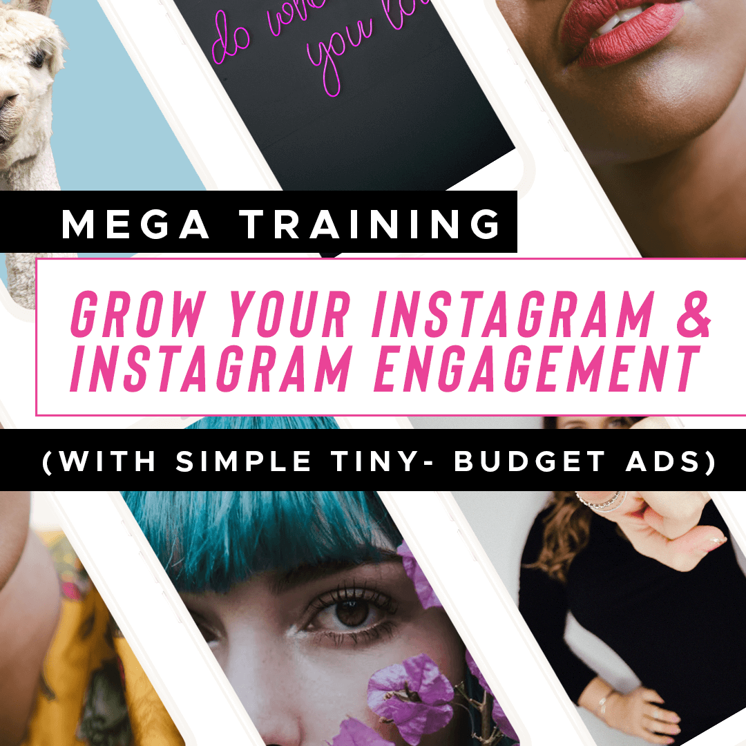SAC-Mega-Instagram-Training2