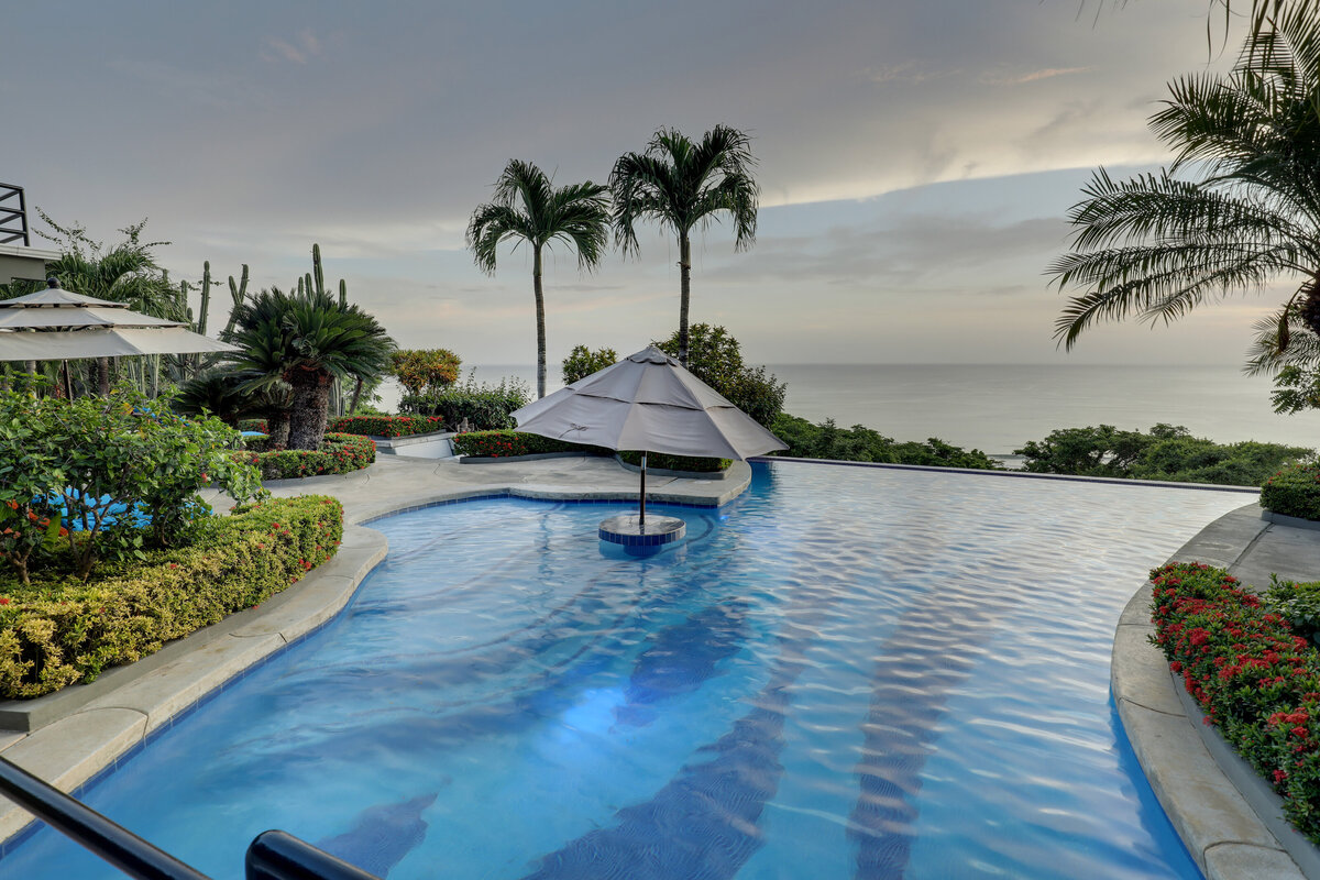 Orquidea Exterior 21