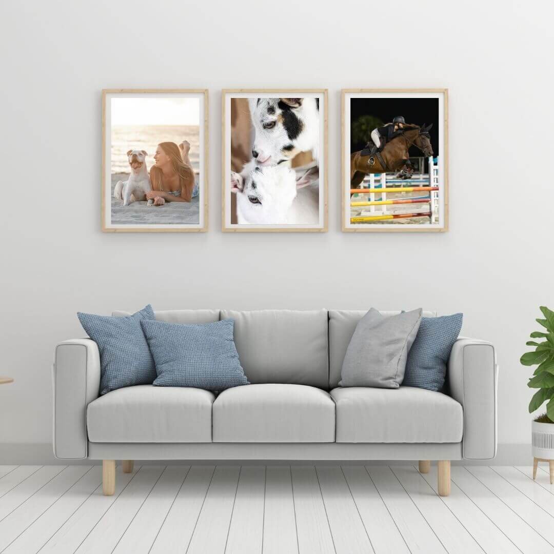 print mockup of girl smiling at her dog on the beach, two goats, and a girl jumping on her horse over fences | Photos by Katy In Design