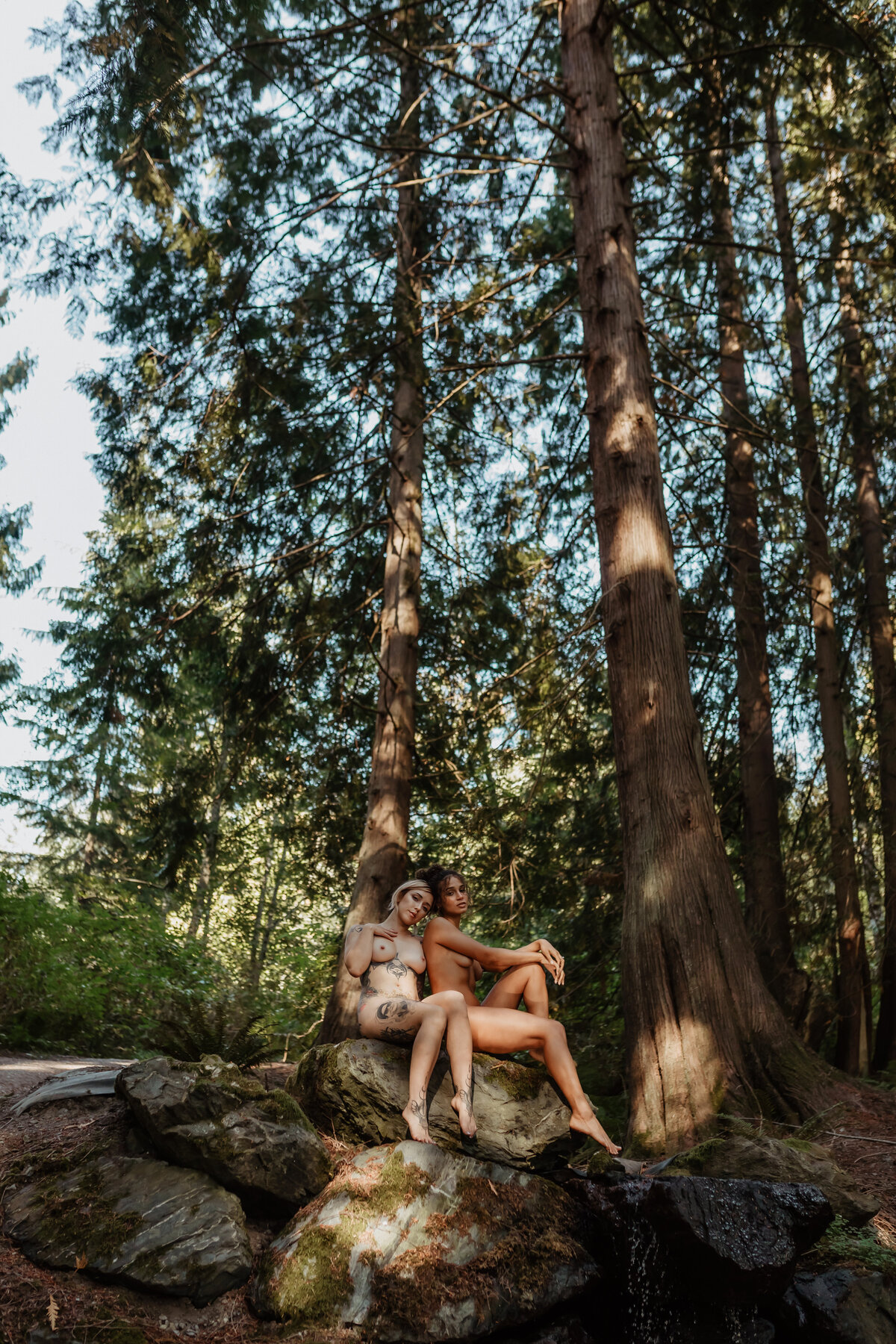 duo-mushroom-cabin-62