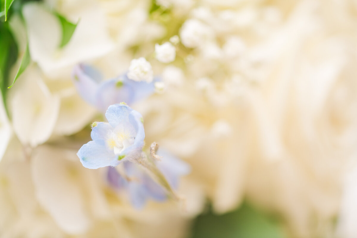 Cassie-And-Frances-wedding-bridal-Photographer-Mexico-Columbia-St.Louis-Kansas-City-Missouri-Kansas-30