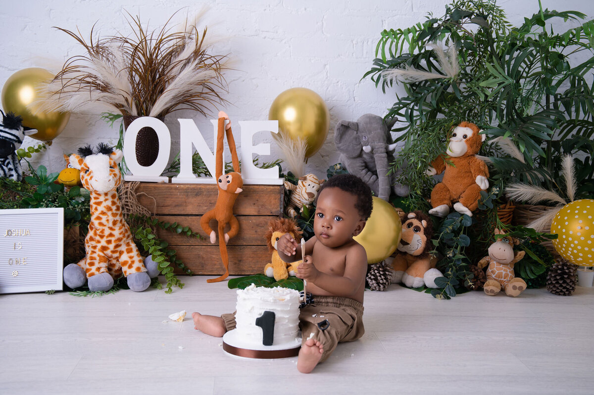 pretoria-cake-smash-photographer-188