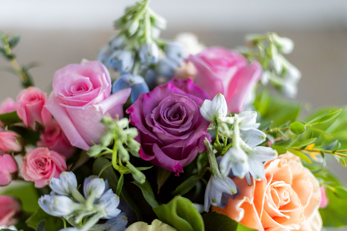 coloradospringsphotographer-5