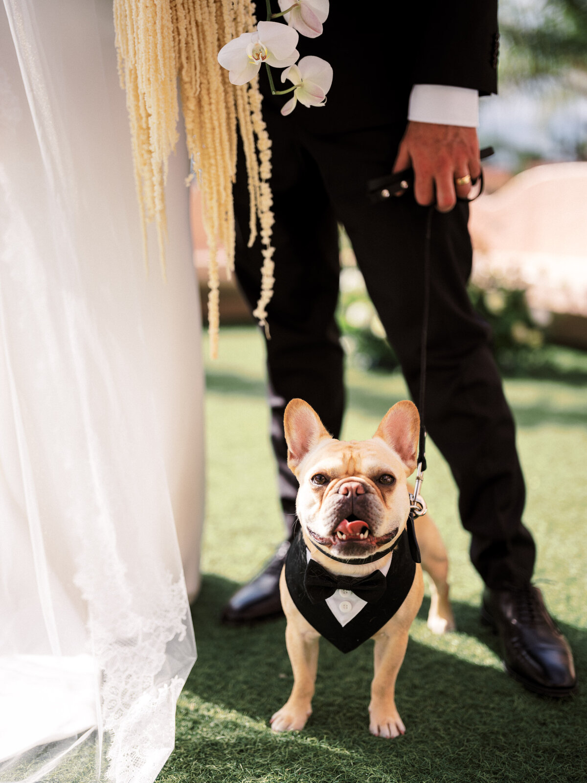 La Jolla San Diego Wedding-12