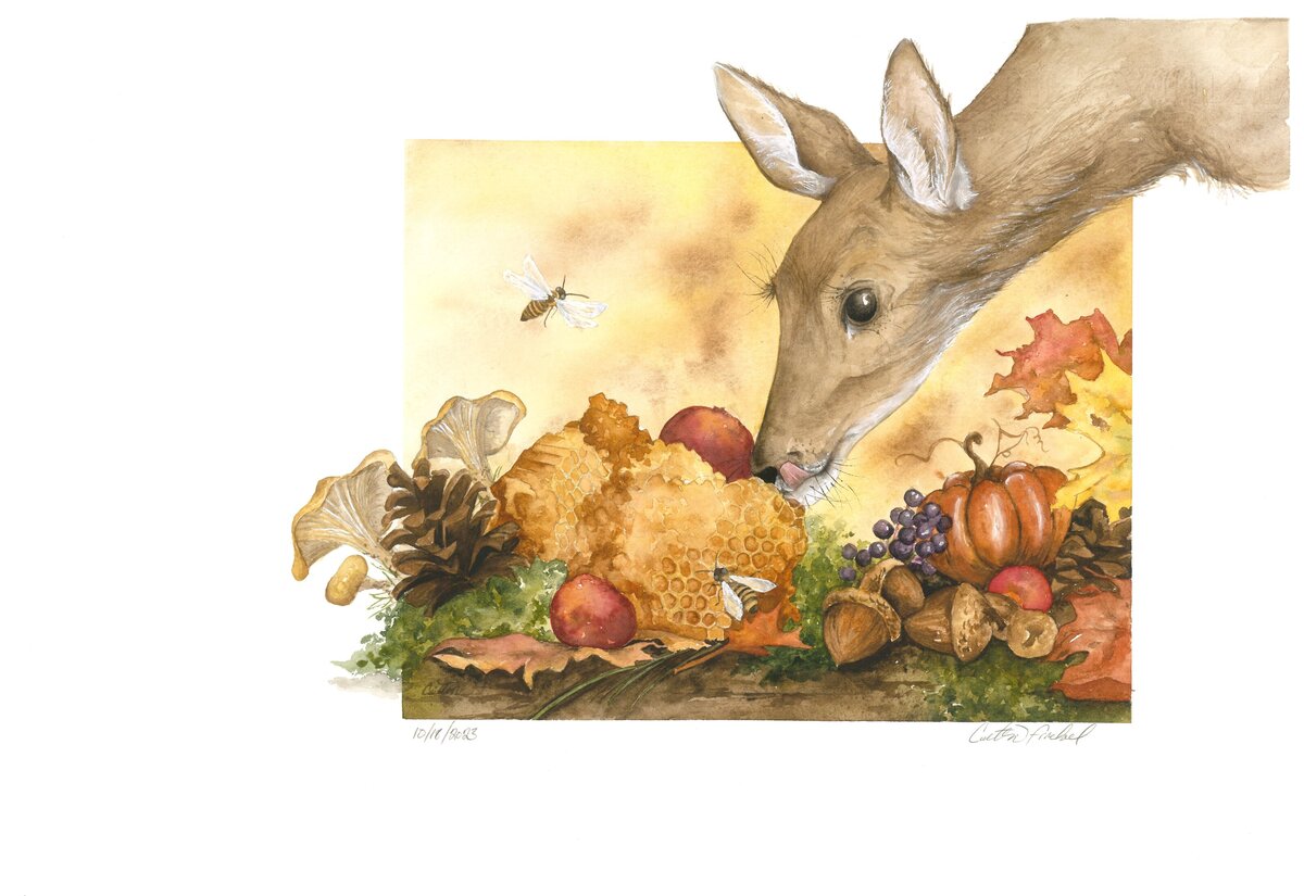 #18 'Honey Bees and Mother Deer'