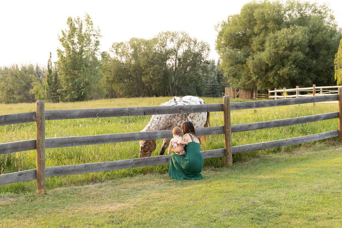 ShieldsWedding-719