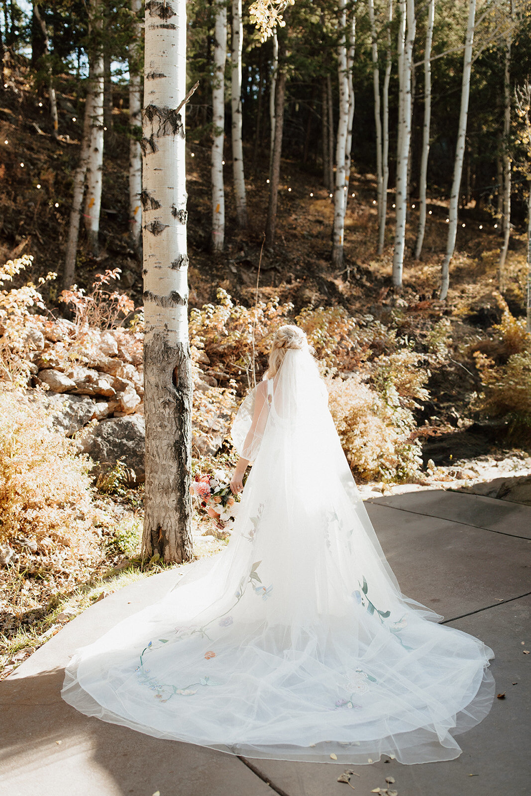 Misha & Andrew Wedding _ Cait Swithers Photo & Films CO-168