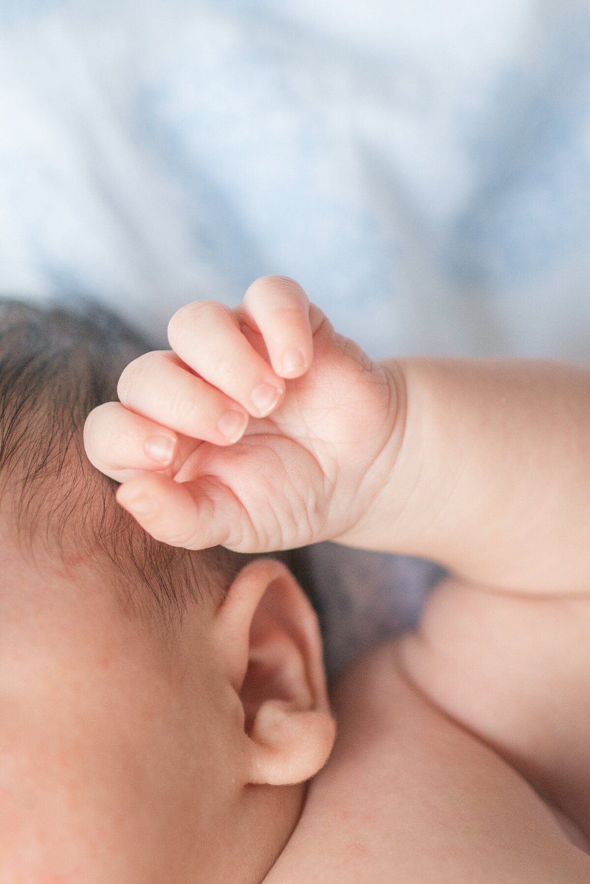 Anna+Mateo-DC-Newborn-Photography_0025