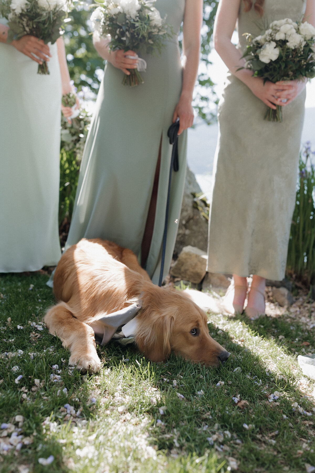 hayleyconnorwedding-1-3