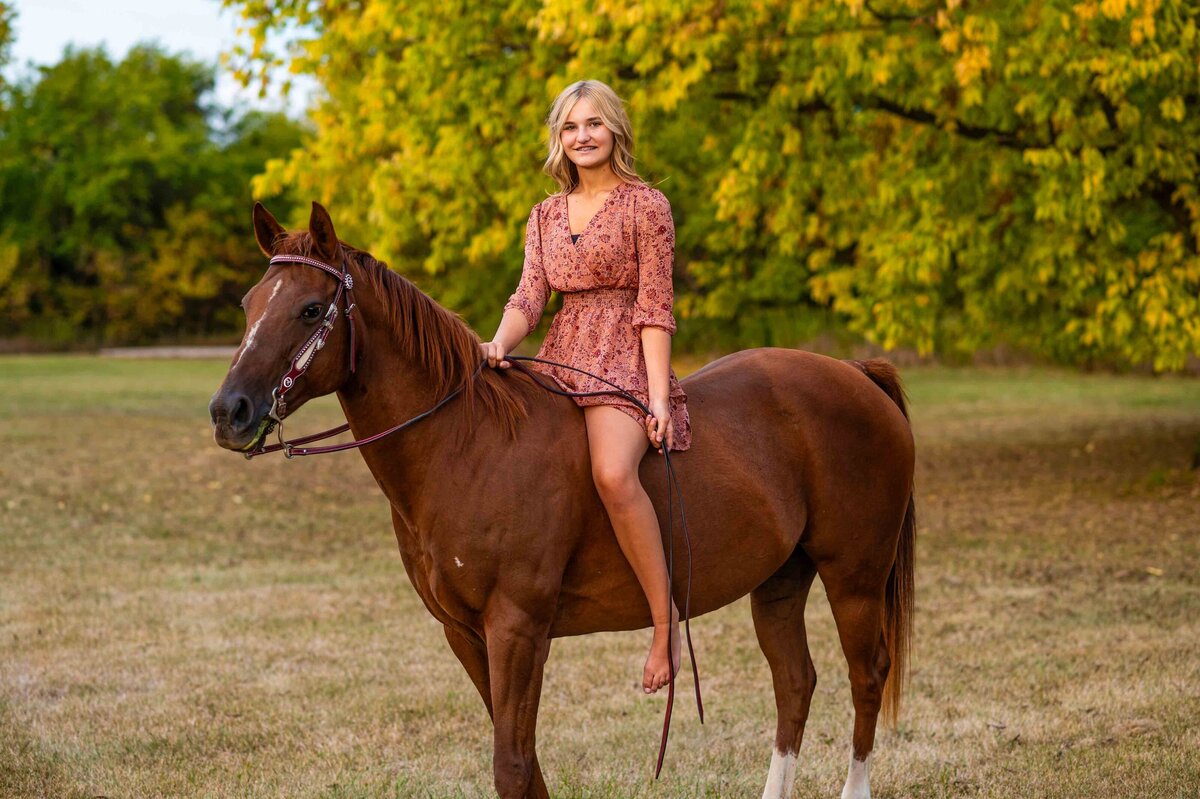Equine-Photography-Session-Noblesville