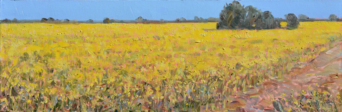 r_mustard_field_north_road_12_x_39