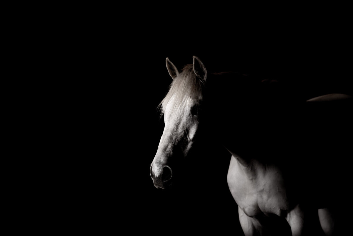 750_4560-Edit