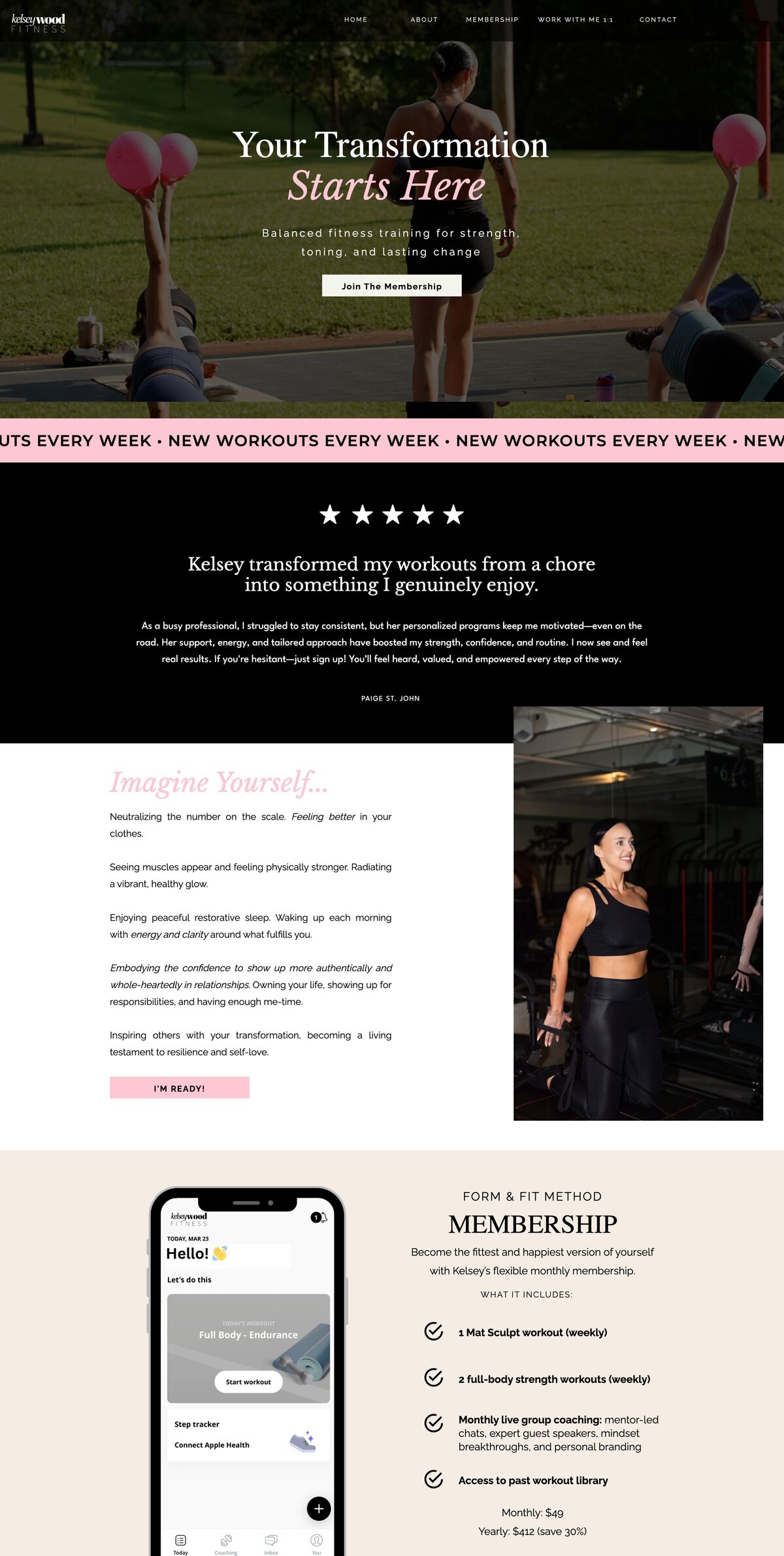 frankie-segal-web-design-1