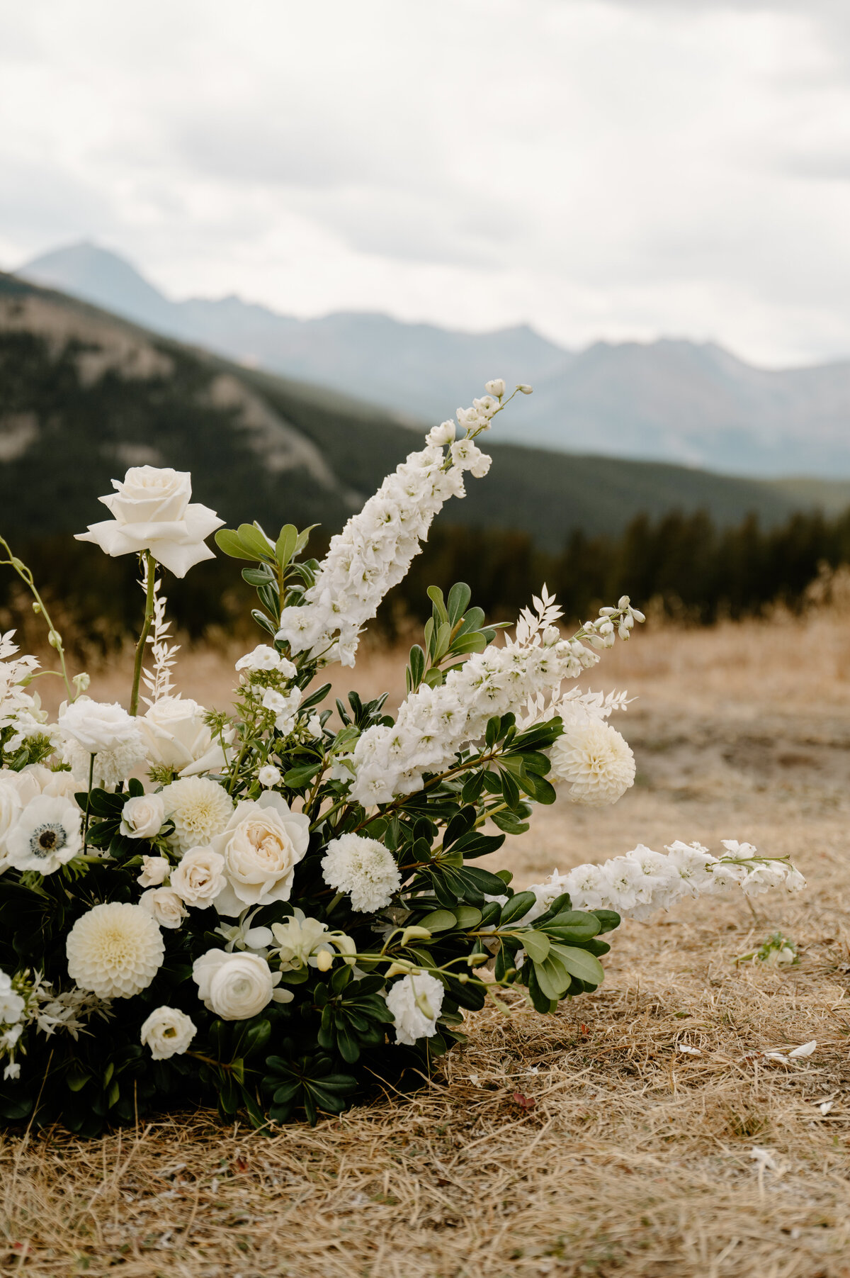 JessicaLuannPhoto-22