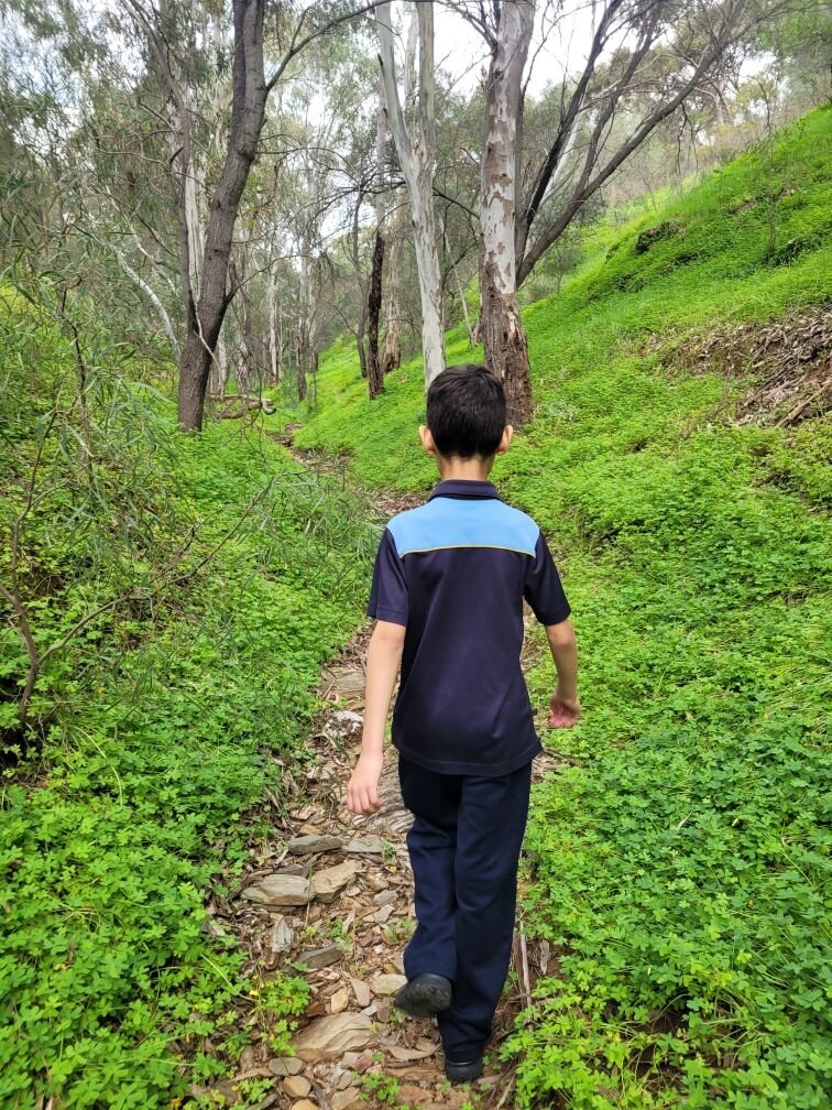 Walk n talk 2