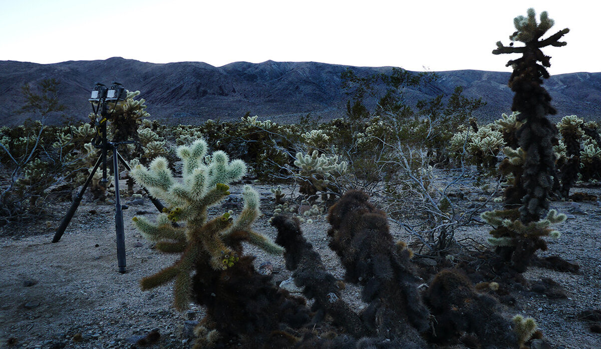 Joshua-Tree-Dual-Digital-Setup