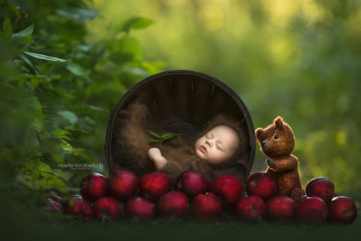 Newborn baby sleeping in bucket of apples with brown vintage teddy bear.