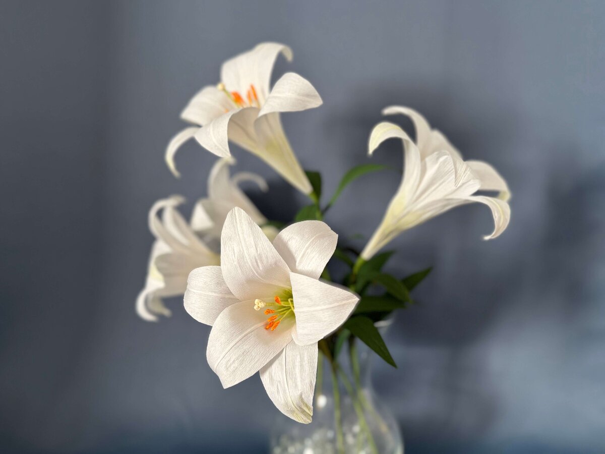 Easter lilies