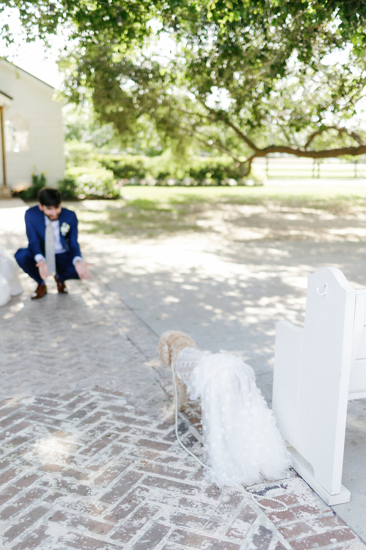 New Orleans Wedding Photographer