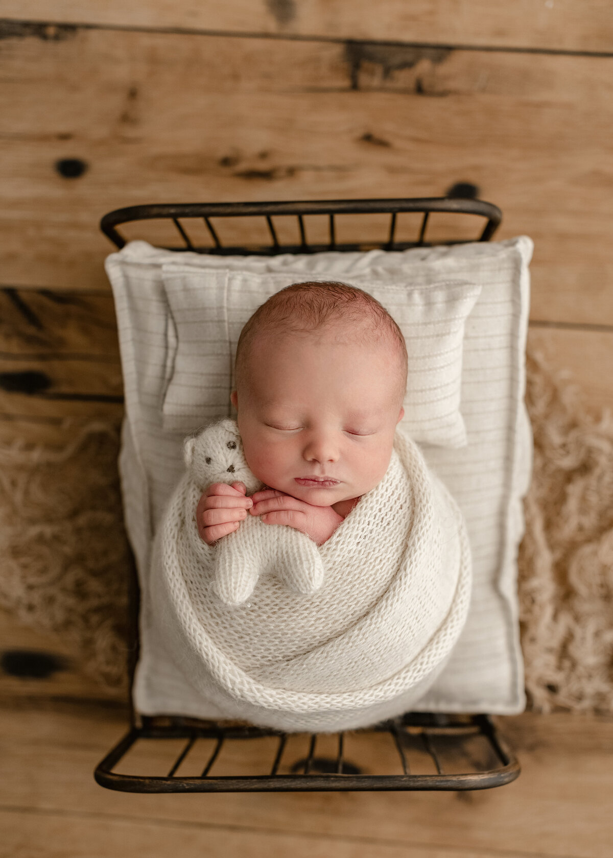 brand new baby boy on a cute prop in denver studio
