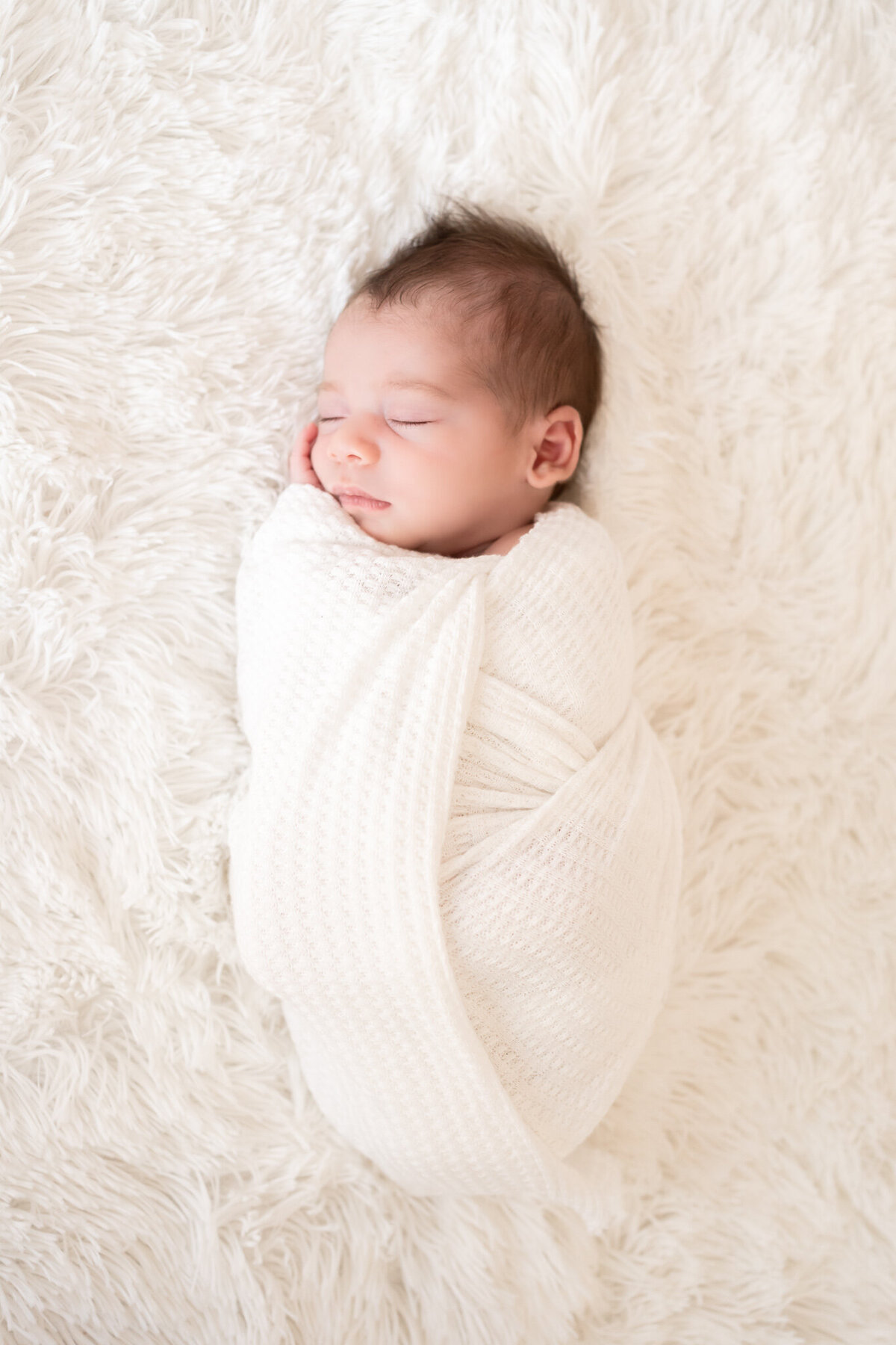 san-francisco-bay-area-newborn-photographer-10